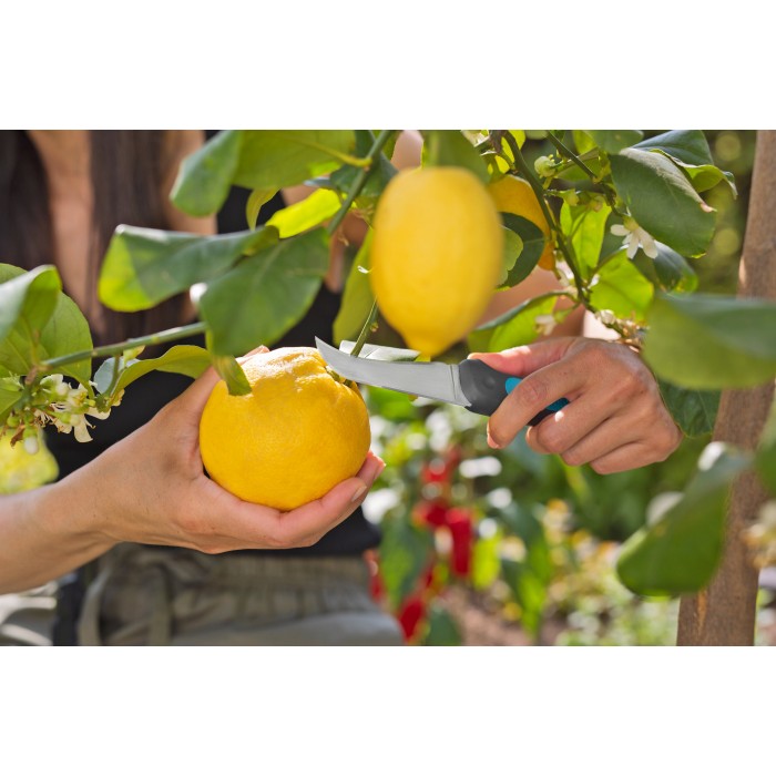 Ніж для збирання врожаю Gardena VeggieCut (12211-20)