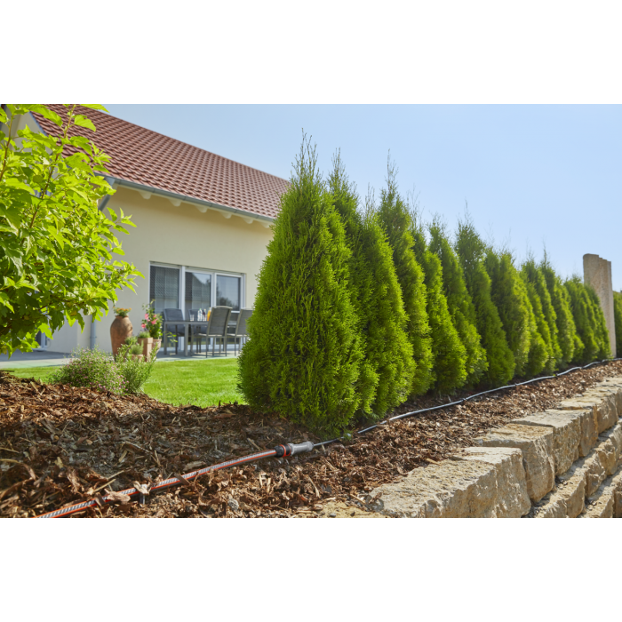 Комплект мікрокрапельного поливу Gardena Micro-Drip-System для рядного поливу 50 м (13013-20)