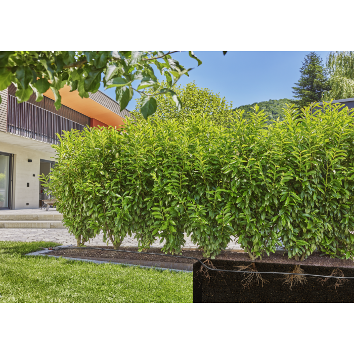 Комплект поливу Gardena Micro-Drip-System для рядного поливу 50 м, 1.6 л/год (13501-20)
